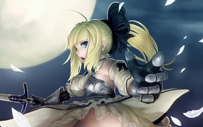Saber Lily, Fate Series, anime, anime girls, Saber