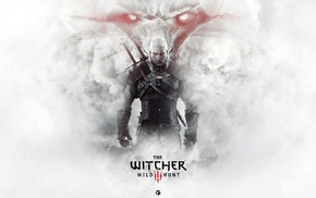 The Witcher 3 Wild Hunt, The Witcher