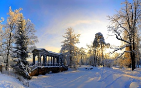 winter, trees, snow