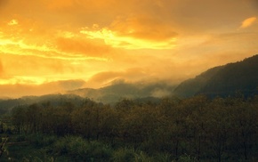 sunset, clouds, trees, yellow, nature, sky