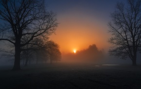 evening, nature, cold, mist, sunlight, morning