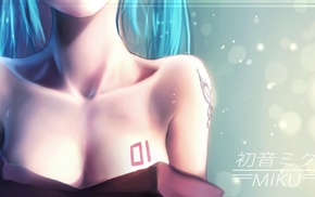 Vocaloid, Hatsune Miku