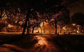 road, grass, trees