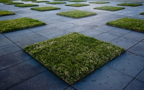 grass, sidewalks