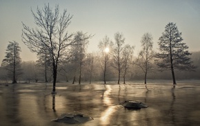 frost, mist, landscape, cold, trees, winter