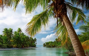 nature, summer, palm trees, clouds, island, sea