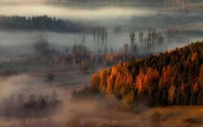 landscape, trees, fall, sunrise, nature, mist