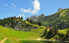 mountain, rock, Switzerland, forest, path, nature