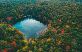 lake, fall, colorful, trees, nature, forest