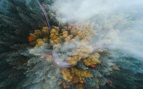 Oregon, nature, trees, highway, landscape, fall