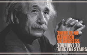 Albert Einstein, fake quote, brains