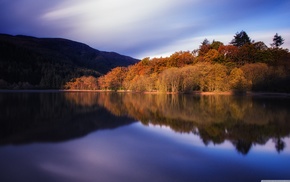 trees, water, lake