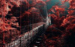 mist, trees, forest, nature, bridge, red