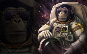monkeys, space