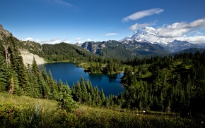 Washington state, forest, grass, water, snowy peak, nature