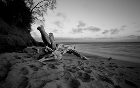 monochrome, beach, sea