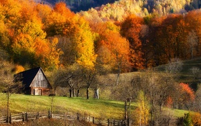 barns, fence, landscape, colorful, hill, forest
