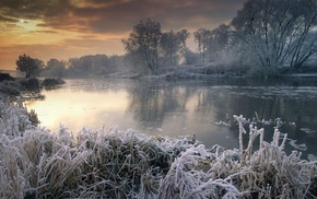 snow, sunset, landscape, trees, frost, cold