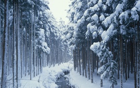 frozen river, snow, road, trees, winter