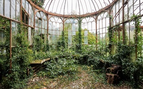 nature, greenhouse, plants