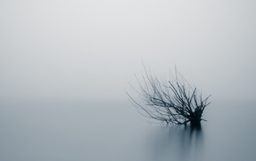 water, landscape, reflection, blurred, monochrome, trees