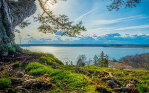 Sweden, nature, grass, clouds, landscape, trees