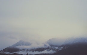 mist, mountain, clovers, sky
