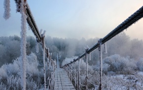 winter, ice, bridge, nature