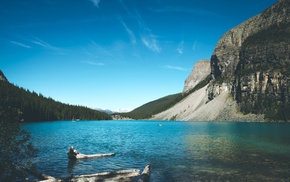 trees, summer, lake, rock, water, landscape