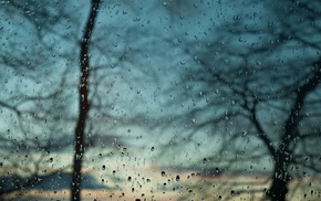 water drops, window, trees