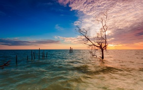 sea, nature