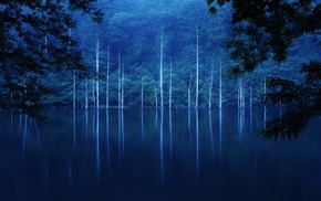 lake, forest, landscape, trees