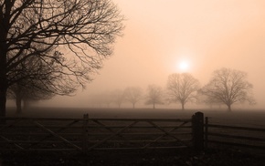 mist, field, nature, gates, sunrise, landscape