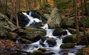 river, landscape, plants