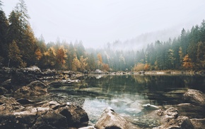 landscape, trees, lake