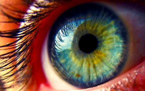 eyes, macro