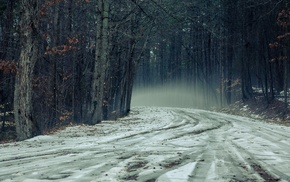 snow, road, trees