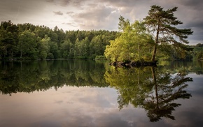 lake, trees