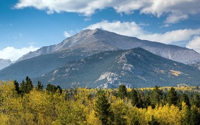 landscape, trees, mountain