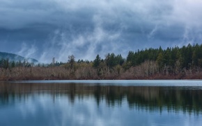 lake, clouds, mist, trees