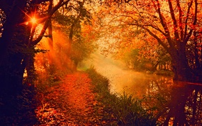 river, fall, sun rays, trees