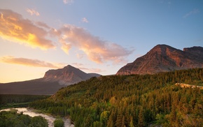 forest, trees, river, mountain