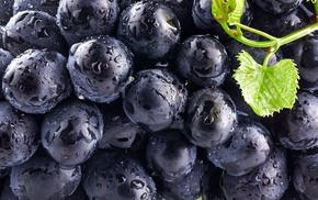 photography, food, blueberries, colorful