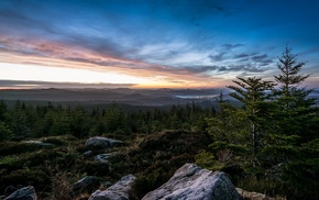 trees, landscape