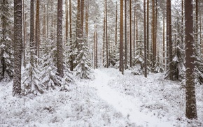 snow, landscape, trees