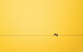 minimalism, birds