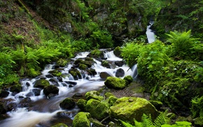 landscape, river