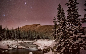 mountain, snow, plants, landscape