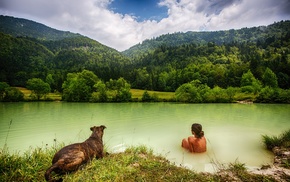 animals, river