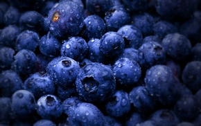 water drops, macro, blueberries, fruit